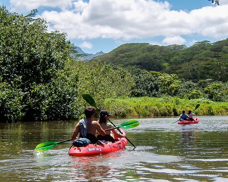Best Kauai Activities to Keep Your Entire Family Entertained
