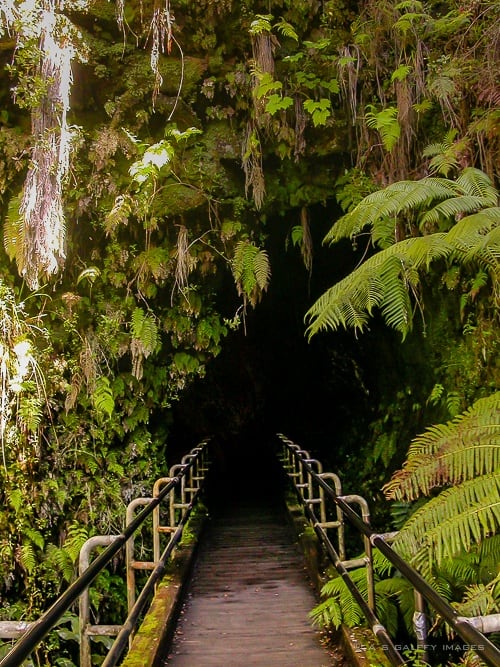 Lava Tube Entrance
