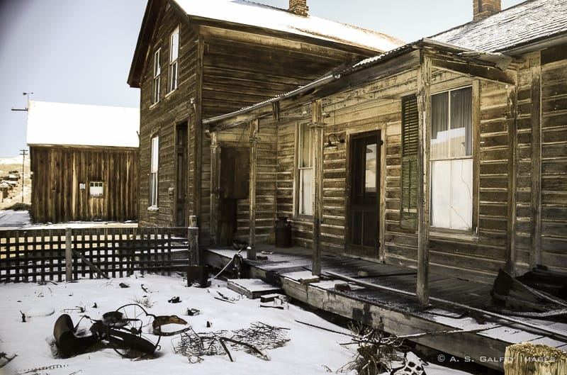bodie